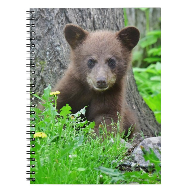 Cutest Baby Animals | Brown Bear Cub Notebook (Front)
