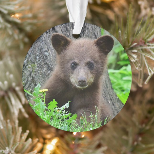 Cutest Baby Animals | Brown Bear Cub Ornament (Tree)