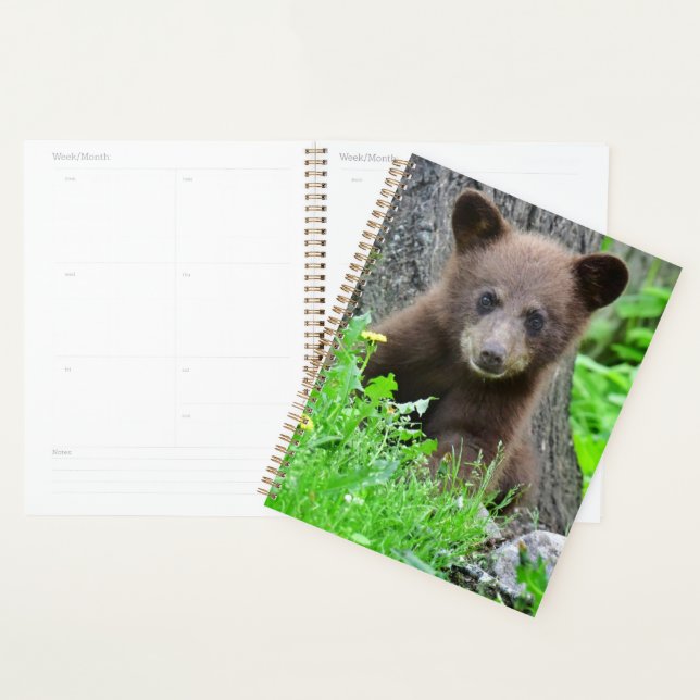 Cutest Baby Animals | Brown Bear Cub Planner (Display)