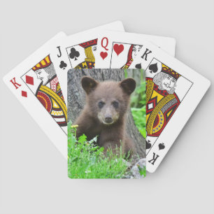 Cutest Baby Animals   Brown Bear Cub Playing Cards