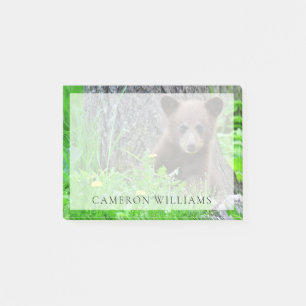Cutest Baby Animals   Brown Bear Cub Post-it Notes