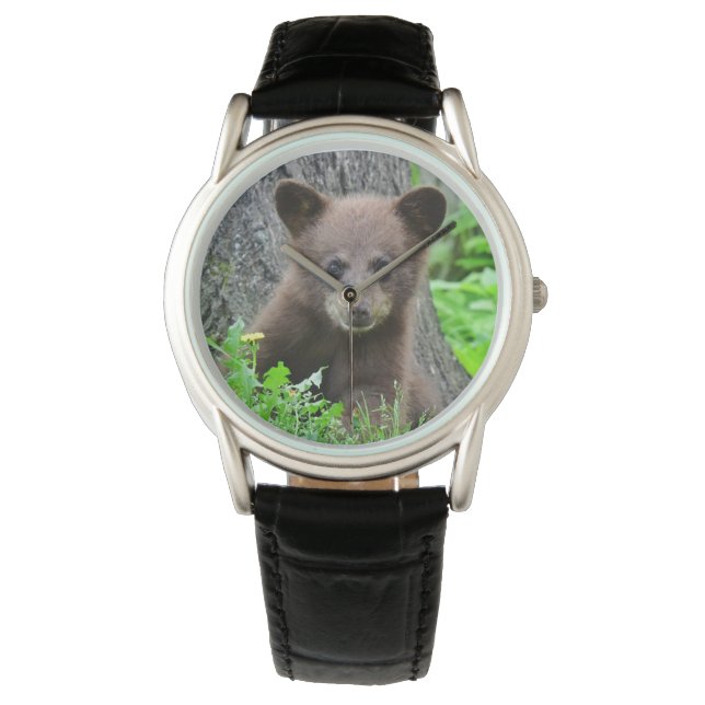 Cutest Baby Animals | Brown Bear Cub Watch (Front)