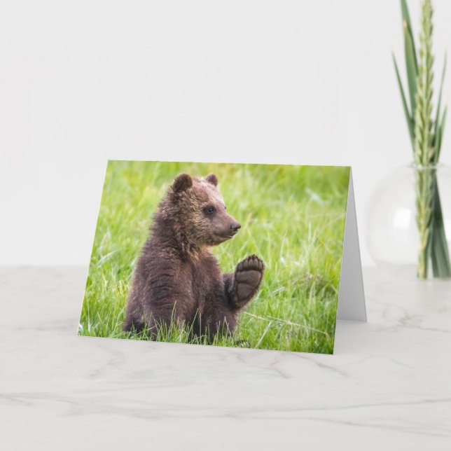 Cutest Baby Animals | Brown Bear Cub Wave Card (Front)