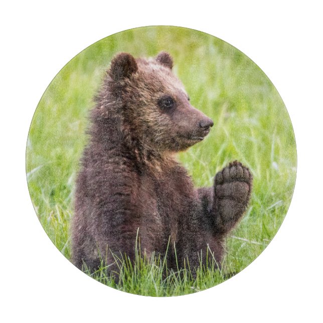 Cutest Baby Animals | Brown Bear Cub Wave Cutting Board (Front)