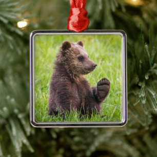 Cutest Baby Animals   Brown Bear Cub Wave Metal Tree Decoration