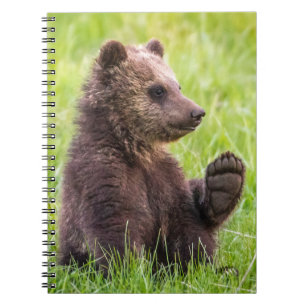 Cutest Baby Animals   Brown Bear Cub Wave Notebook