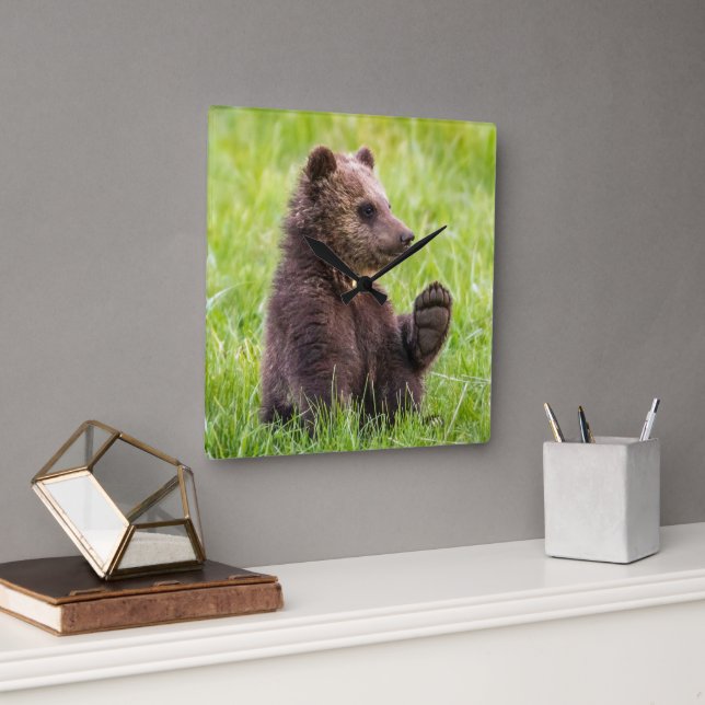 Cutest Baby Animals | Brown Bear Cub Wave Square Wall Clock (Office)