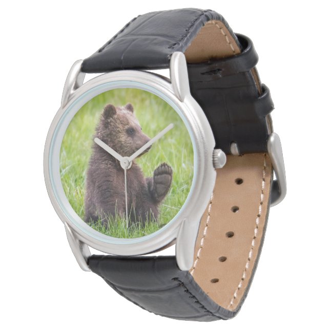 Cutest Baby Animals | Brown Bear Cub Wave Watch (Angled)