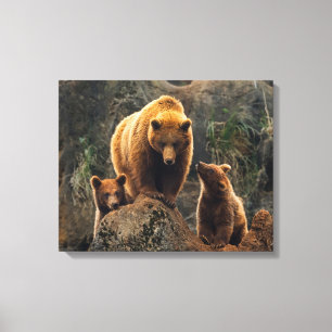 Cutest Baby Animals Brown Bear Family Canvas Print