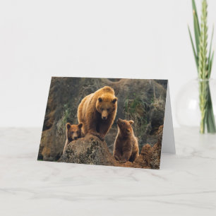 Cutest Baby Animals Brown Bear Family Card
