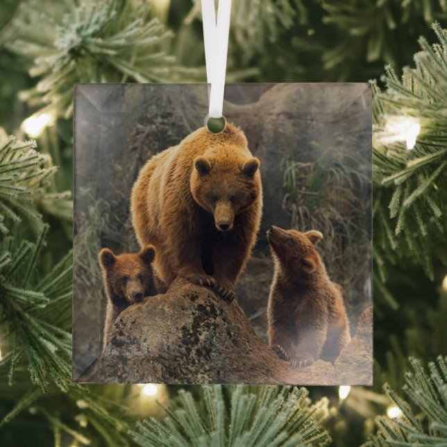 Cutest Baby Animals | Brown Bear Family Glass Tree Decoration (Insitu)