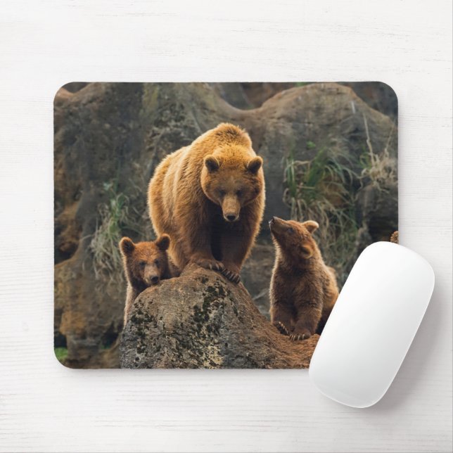 Cutest Baby Animals | Brown Bear Family Mouse Mat (With Mouse)