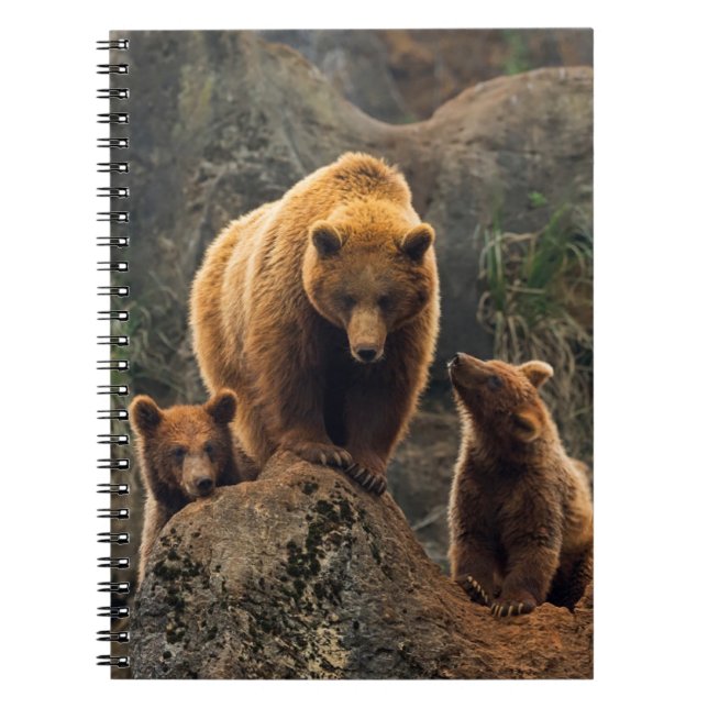 Cutest Baby Animals | Brown Bear Family Notebook (Front)