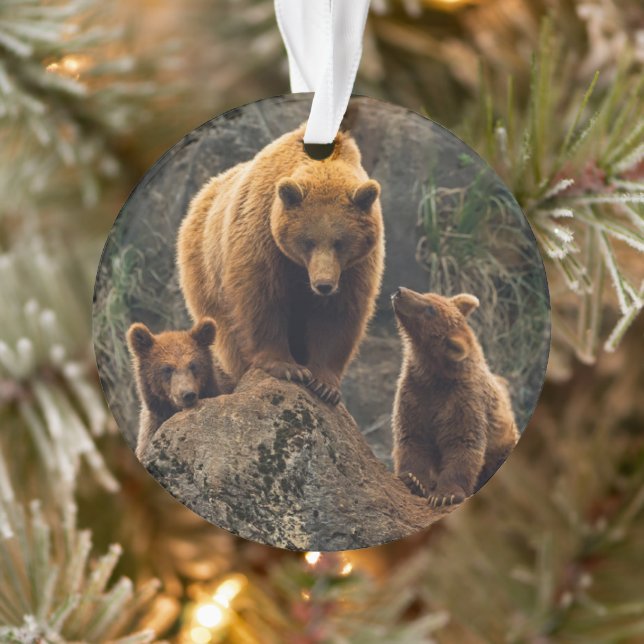 Cutest Baby Animals | Brown Bear Family Ornament (Tree)