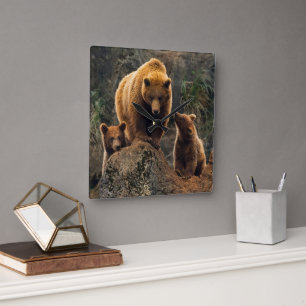 Cutest Baby Animals Brown Bear Family Square Wall Clock