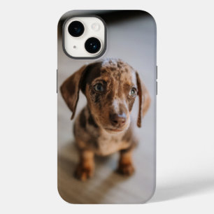 Cutest Baby Animals   Brown Dachshund Puppy Case-Mate iPhone 14 Case