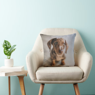 Cutest Baby Animals Brown Dachshund Puppy Cushion