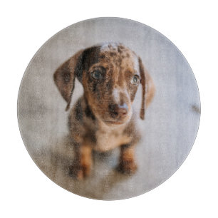 Cutest Baby Animals   Brown Dachshund Puppy Cutting Board