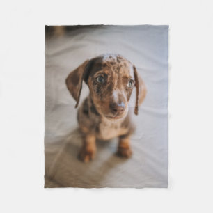 Cutest Baby Animals   Brown Dachshund Puppy Fleece Blanket