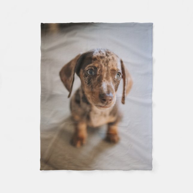 Cutest Baby Animals | Brown Dachshund Puppy Fleece Blanket (Front)