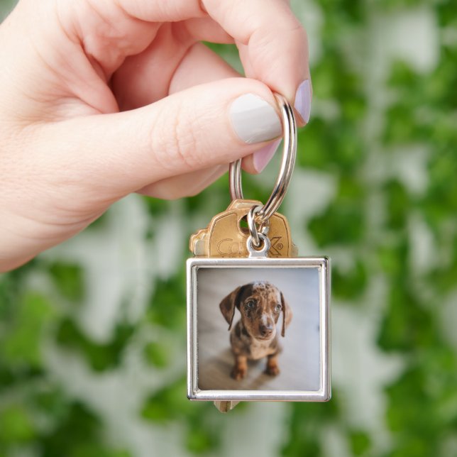 Cutest Baby Animals | Brown Dachshund Puppy Key Ring (Hand)