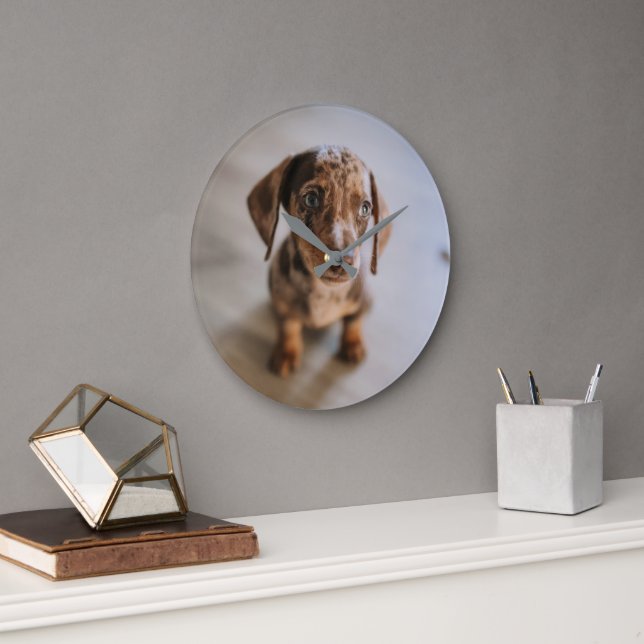 Cutest Baby Animals | Brown Dachshund Puppy Large Clock (Office)