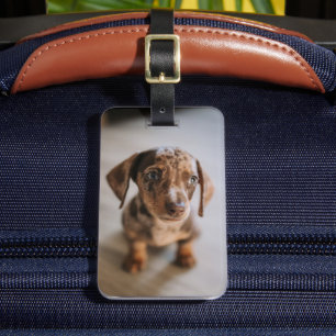 Cutest Baby Animals   Brown Dachshund Puppy Luggage Tag