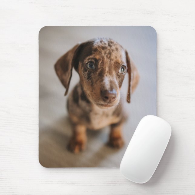 Cutest Baby Animals | Brown Dachshund Puppy Mouse Mat (With Mouse)