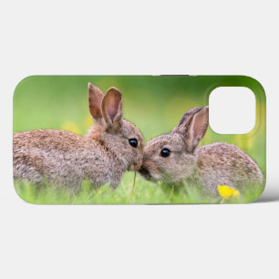 Cutest Baby Animals   Bunny Kiss iPhone 13 Case