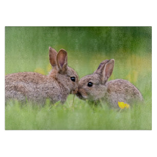 Cutest Baby Animals Bunny Kiss Cutting Board