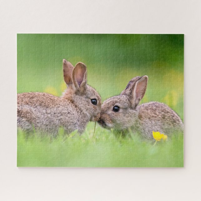 Cutest Baby Animals | Bunny Kiss Jigsaw Puzzle (Horizontal)