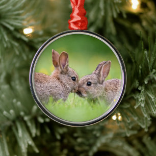 Cutest Baby Animals   Bunny Kiss Metal Tree Decoration
