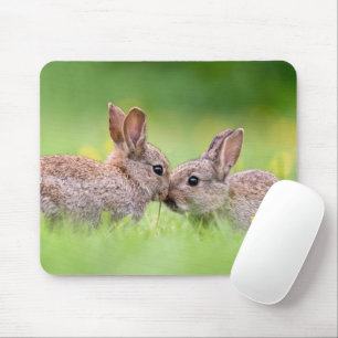 Cutest Baby Animals   Bunny Kiss Mouse Mat