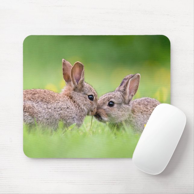 Cutest Baby Animals | Bunny Kiss Mouse Mat (With Mouse)