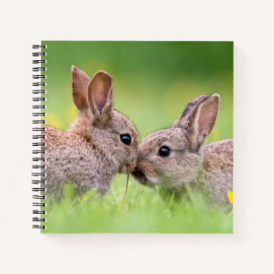 Cutest Baby Animals Bunny Kiss Notebook