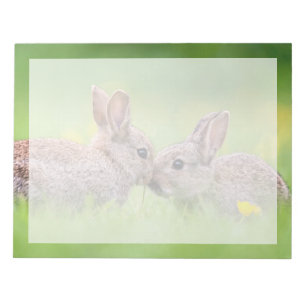 Cutest Baby Animals Bunny Kiss Notepad