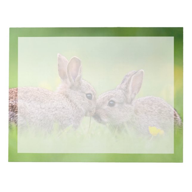 Cutest Baby Animals | Bunny Kiss Notepad (Front)