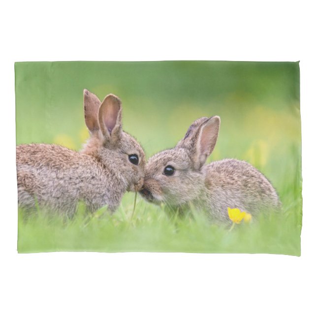 Cutest Baby Animals | Bunny Kiss Pillowcase (Front)