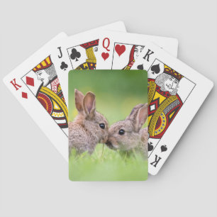 Cutest Baby Animals   Bunny Kiss Playing Cards