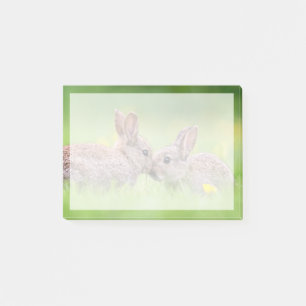 Cutest Baby Animals Bunny Kiss Post-it Notes