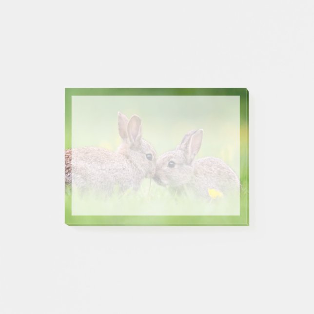 Cutest Baby Animals | Bunny Kiss Post-it Notes (Front)