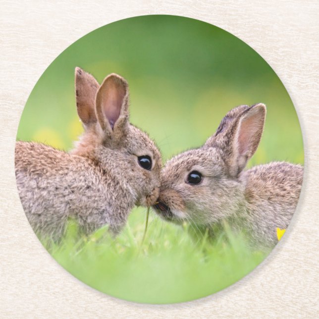 Cutest Baby Animals | Bunny Kiss Round Paper Coaster (Front)