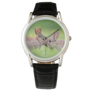 Cutest Baby Animals   Bunny Kiss Watch