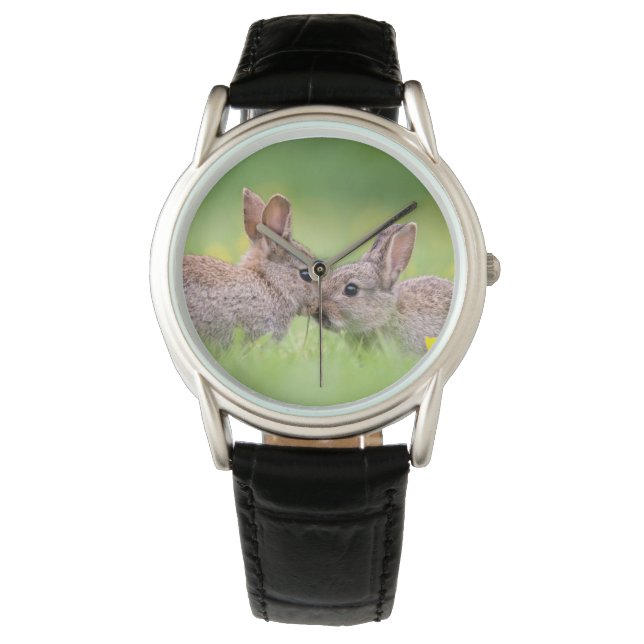 Cutest Baby Animals | Bunny Kiss Watch (Front)