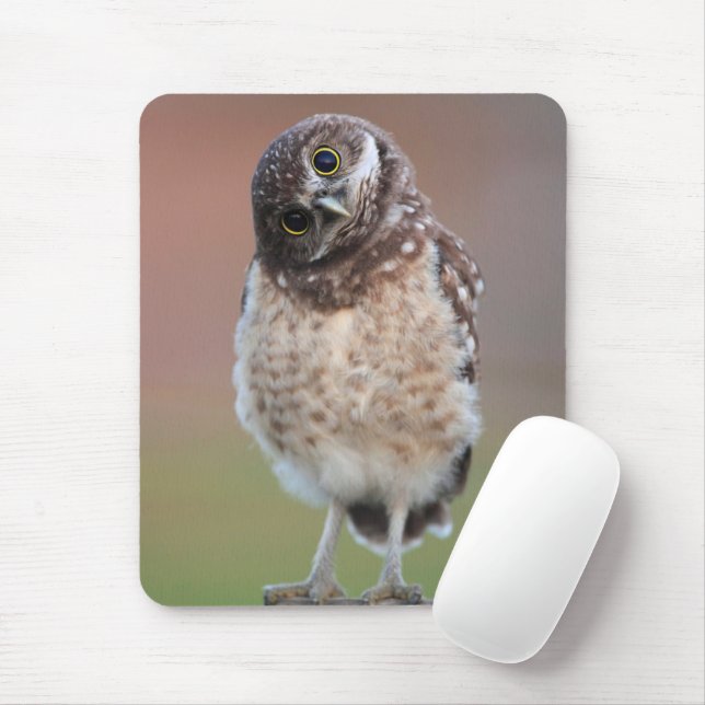 Cutest Baby Animals | Burrowing Owl Owlet Mouse Mat (With Mouse)