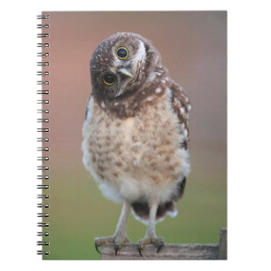Cutest Baby Animals   Burrowing Owl Owlet Notebook