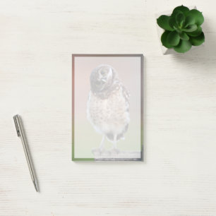 Cutest Baby Animals   Burrowing Owl Owlet Post-it Notes