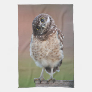 Cutest Baby Animals   Burrowing Owl Owlet Tea Towel