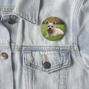 Cutest Baby Animals   Cairn Terrier Dog 6 Cm Round Badge