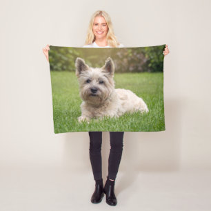 Cutest Baby Animals Cairn Terrier Dog Fleece Blanket